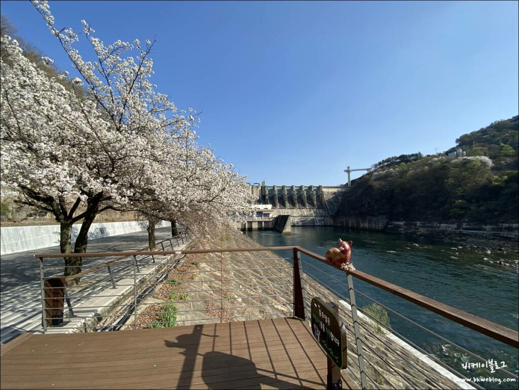 벚꽃 여행 충주 충주댐 방문기