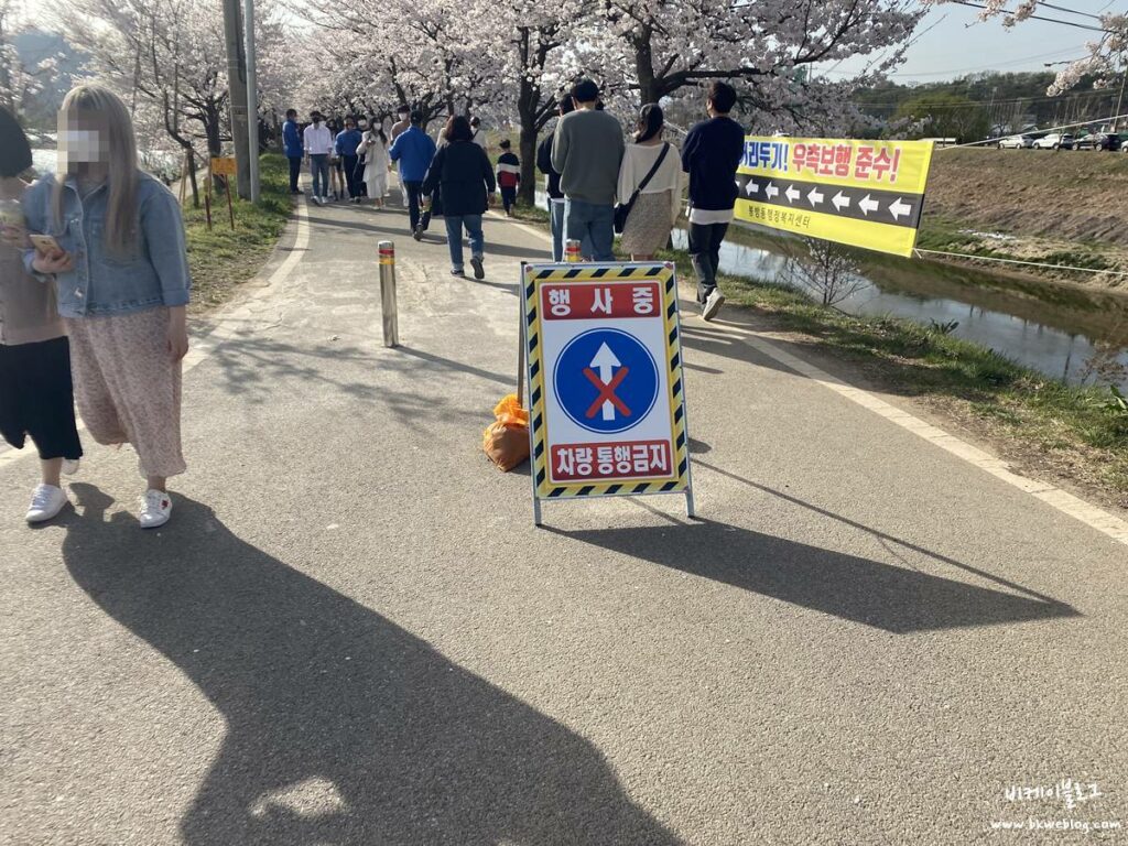 충주 벚꽃여행 하방마을 방문기