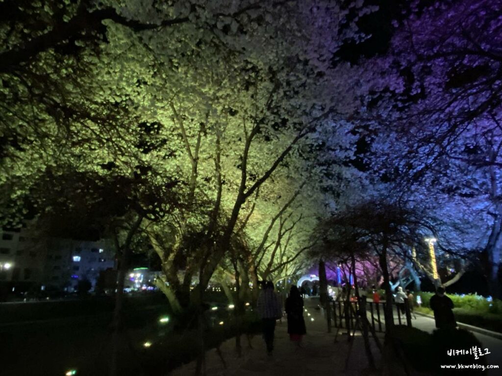 벚꽃 여행 충주 수안보 벚꽃길 방문기