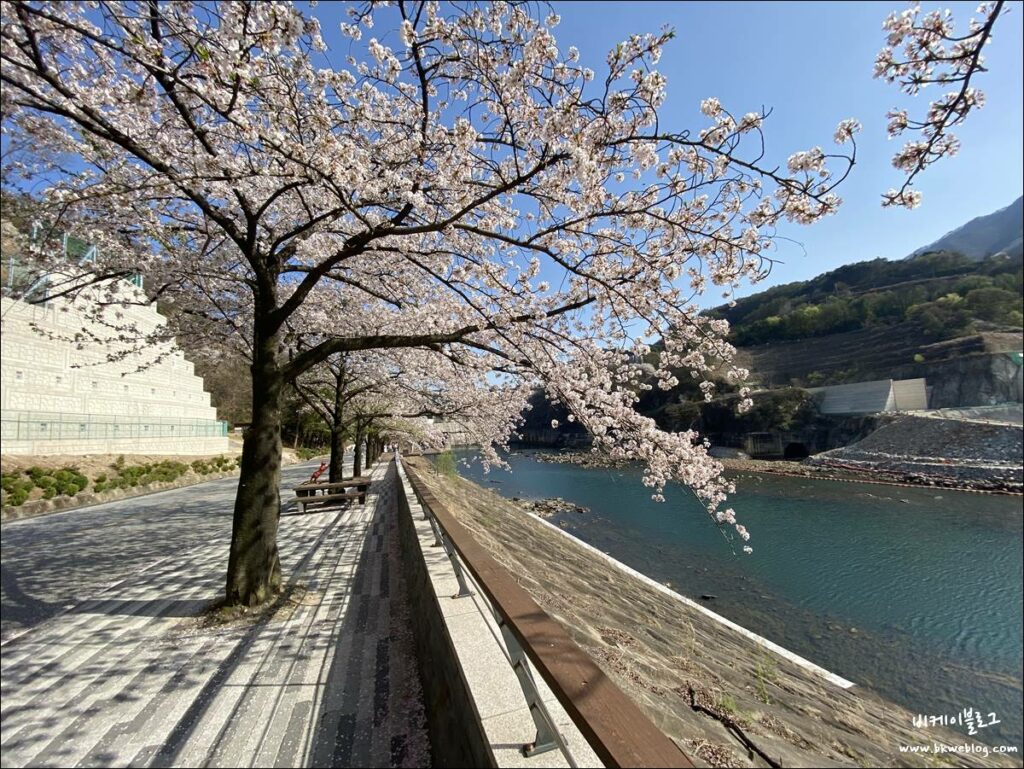 벚꽃 여행 충주 충주댐 방문기