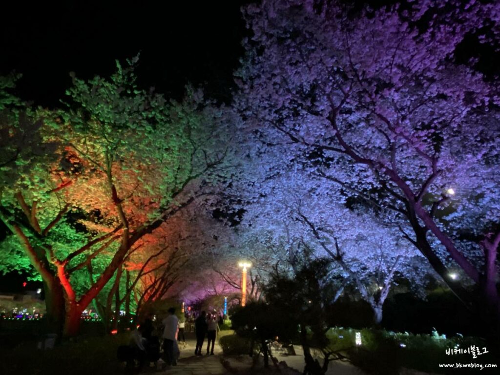 벚꽃 여행 충주 수안보 벚꽃길 방문기