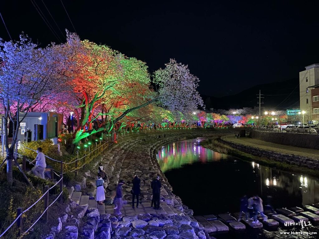 벚꽃 여행 충주 수안보 벚꽃길 방문기