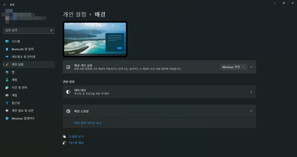 윈도우11 스포트라이트
