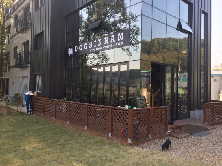 파주 애견카페 독신남