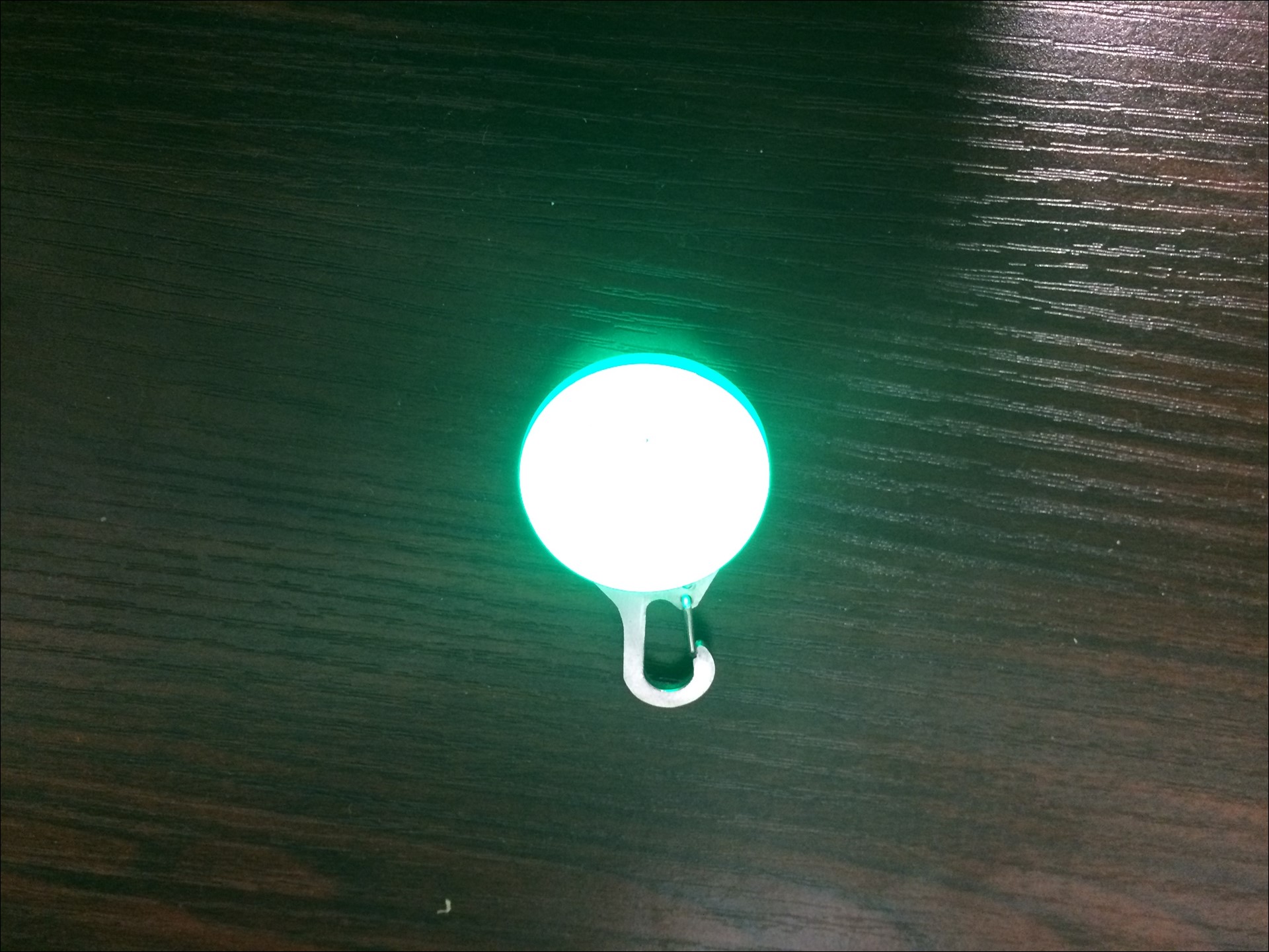 야간산책 필수용품 - 강아지 LED 팬던트