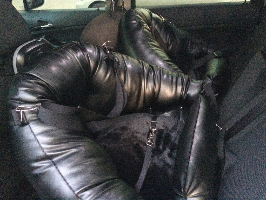 코카스빈 벤 라이더 애견 카시트