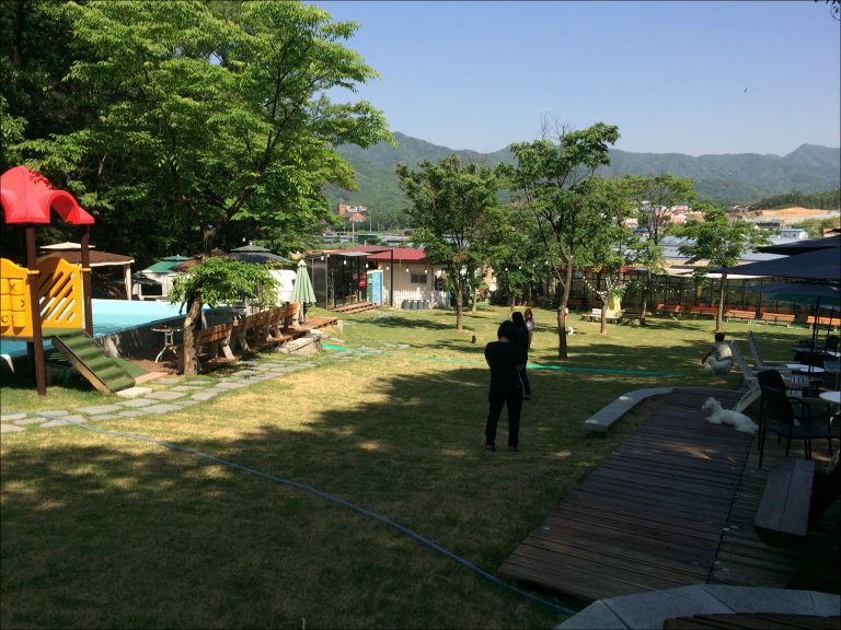 용인 애견카페 애견운동장 컨츄리독 힐링파크