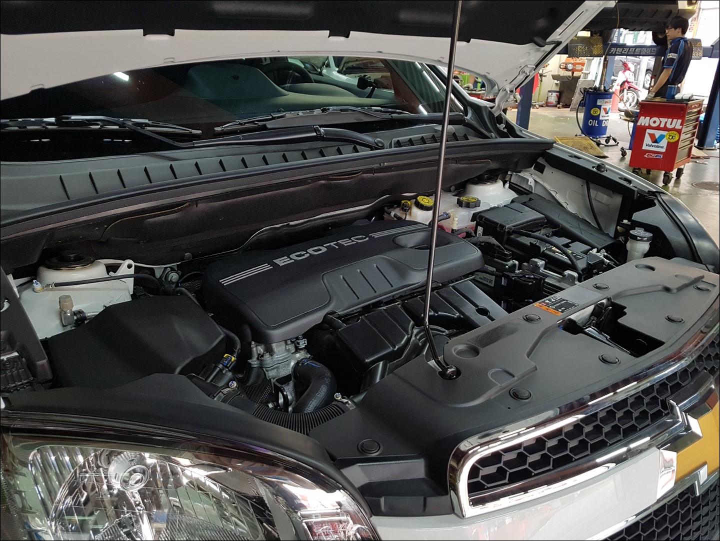 올란도 LPGI 모튤 LCV 5W30 첫 엔진오일 교환