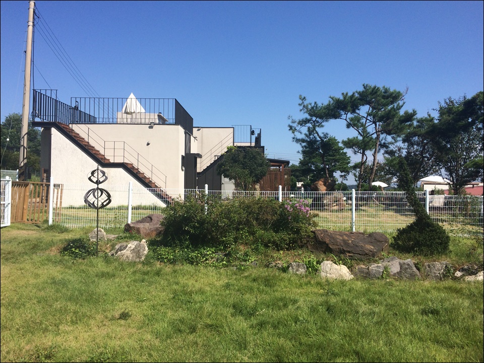 강화도 애견카페 흐노니