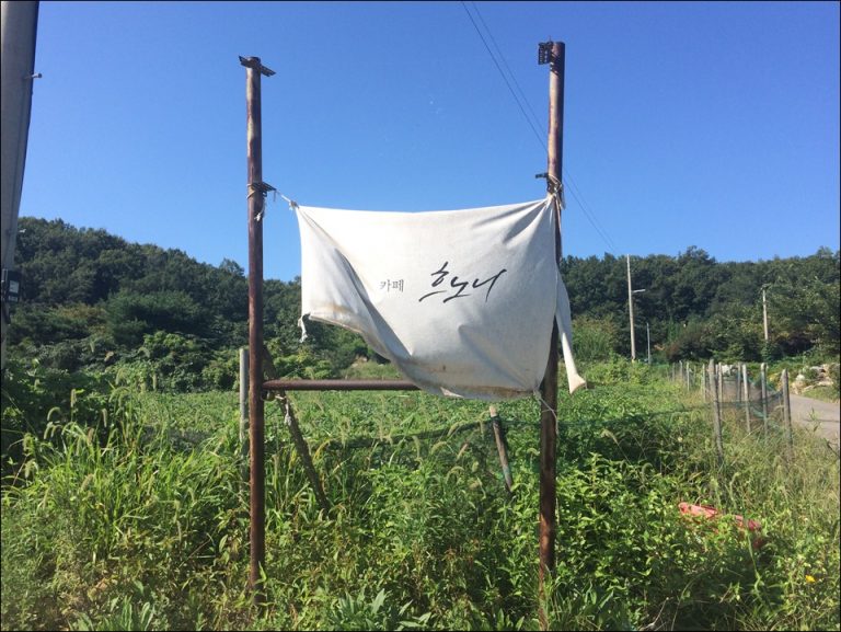 강화도 애견카페 흐노니