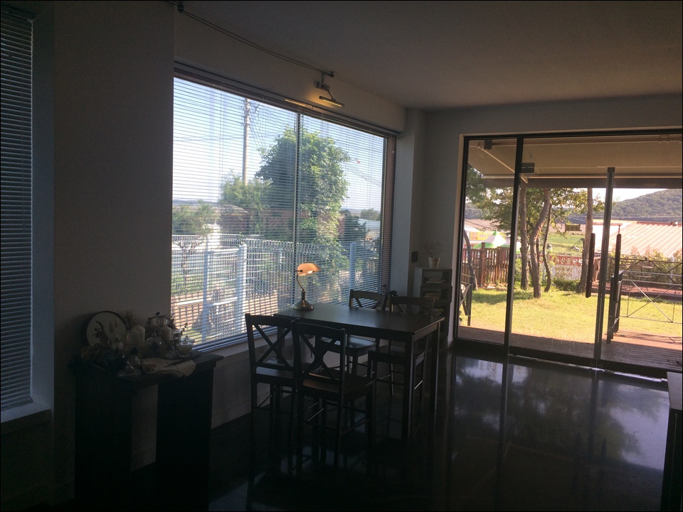 강화도 애견카페 흐노니