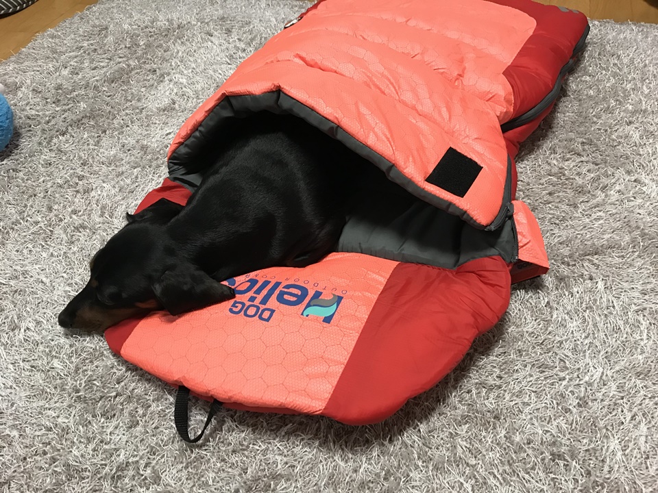  도그헬리오스 침낭