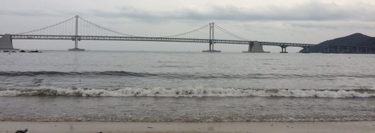 부산 애견동반 여행 광안리 해변