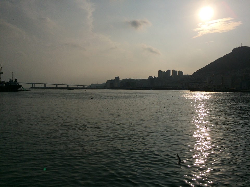 부평깡통시장, 국제시장 그리고 자갈치시장