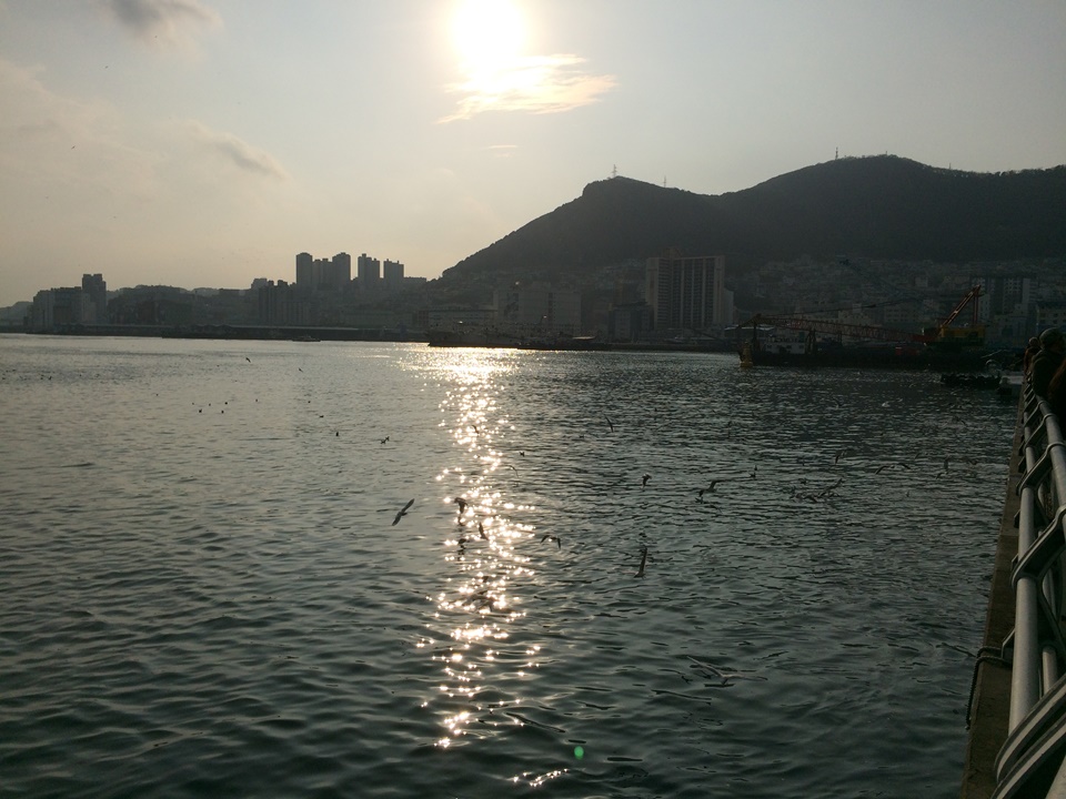 부평깡통시장, 국제시장 그리고 자갈치시장