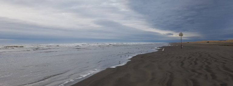 롱비치 (Long Beach) 워싱턴주, 미국