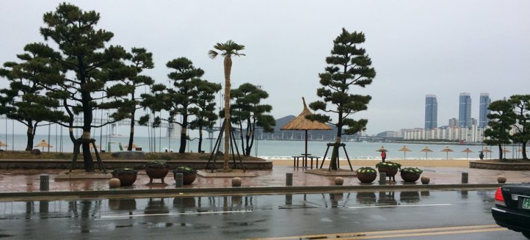 광안리 애견동반카페 엘룬 – Elune