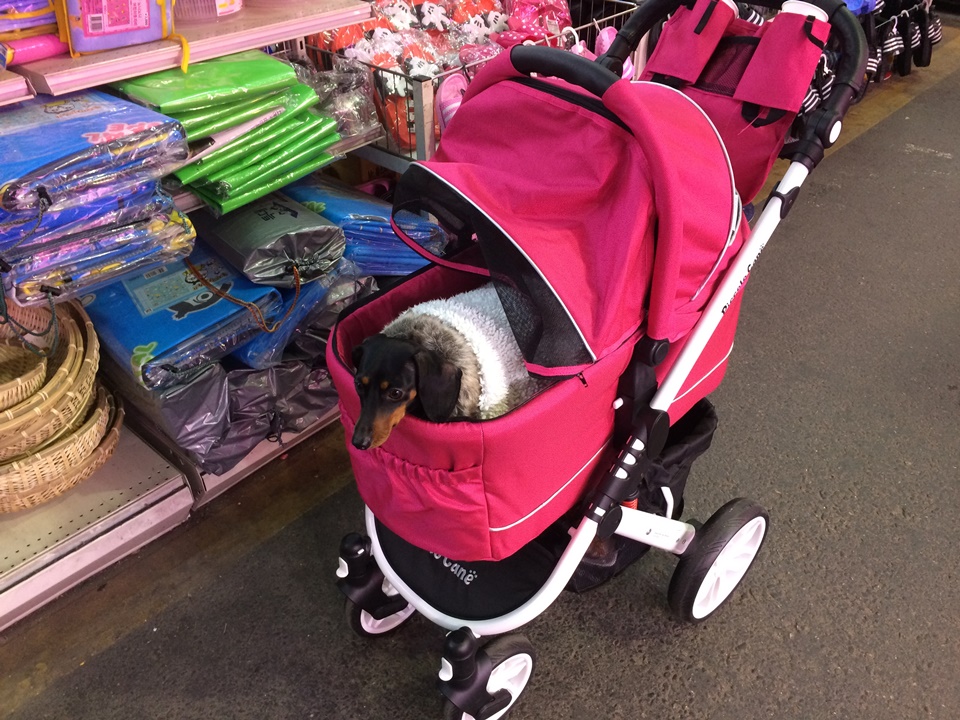 피콜로카네 탄토2 강아지 유모차