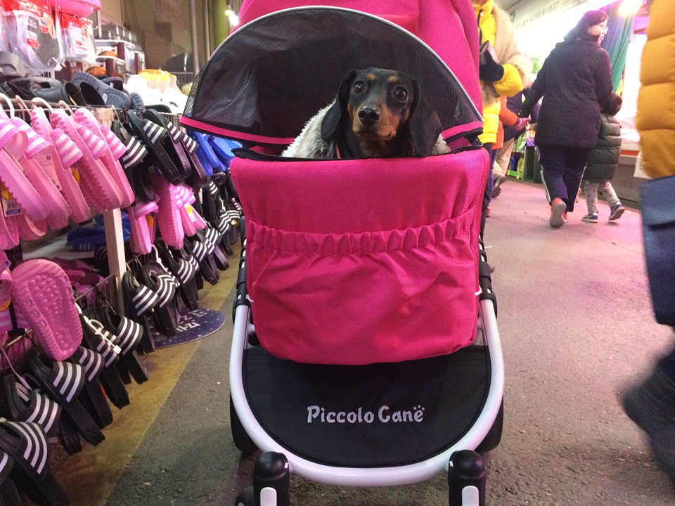 피콜로카네 탄토2 강아지 유모차