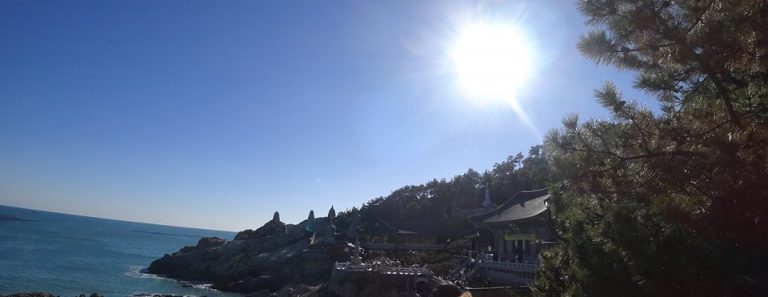 부산 해동용궁사 애견동반 여행