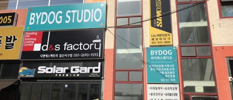바이독 애견스튜디오에서 참깨 1주년 기념촬영, 강아지 사진 촬영하기