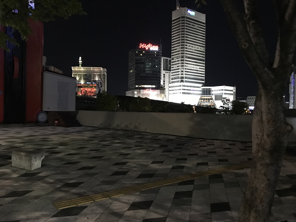 애견동반 동대문 포장마차, 동대문 DDP, 두타