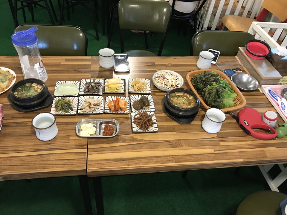 일산 애견동반식당 울타리