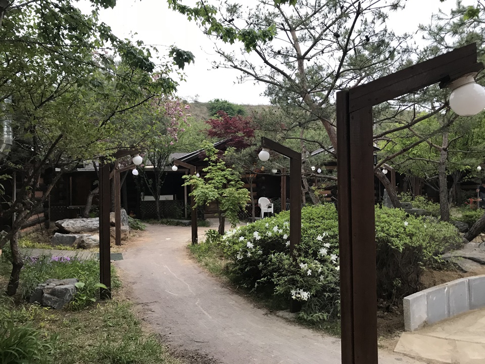 파주 헤이리 애견동반식당 토향