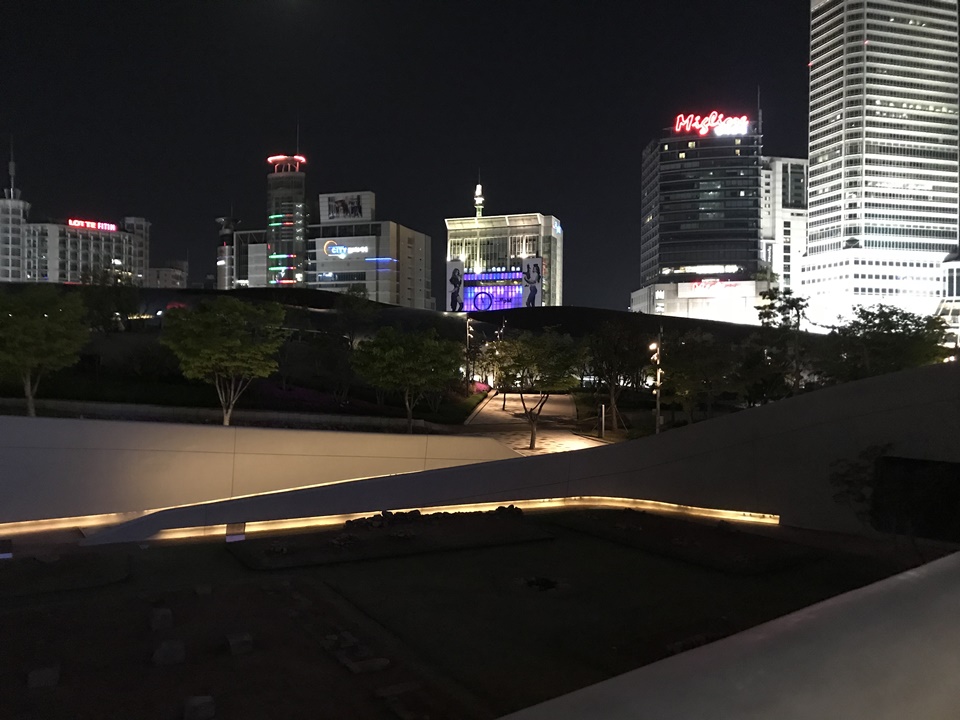 애견동반 동대문 포장마차, 동대문 DDP, 두타