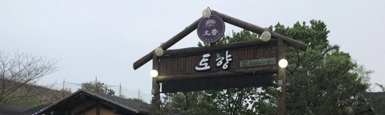 파주 헤이리 애견동반식당 토향