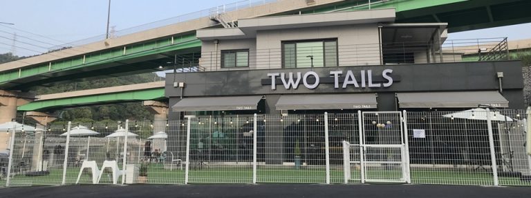 남양주 별내 애견카페 투테일스(Two Tails)