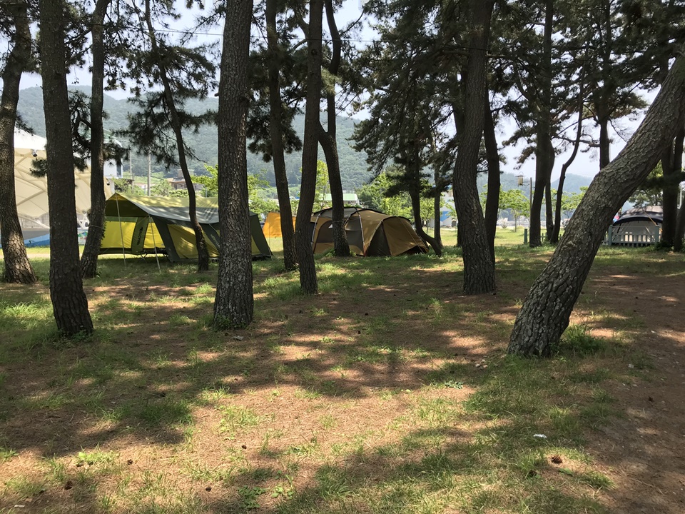 송정솔바람해변