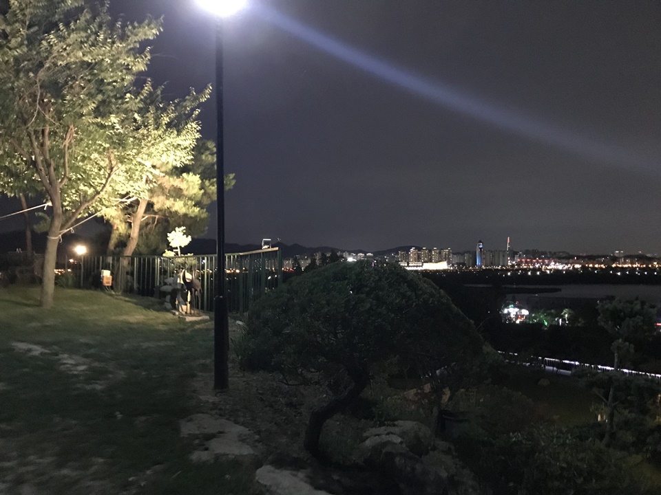 남양주 팔당 애견동반카페 카페스토리