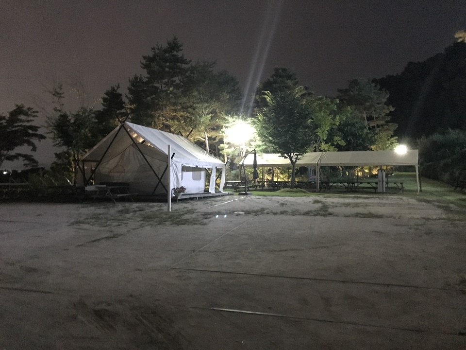 남양주 팔당 애견동반카페 카페스토리