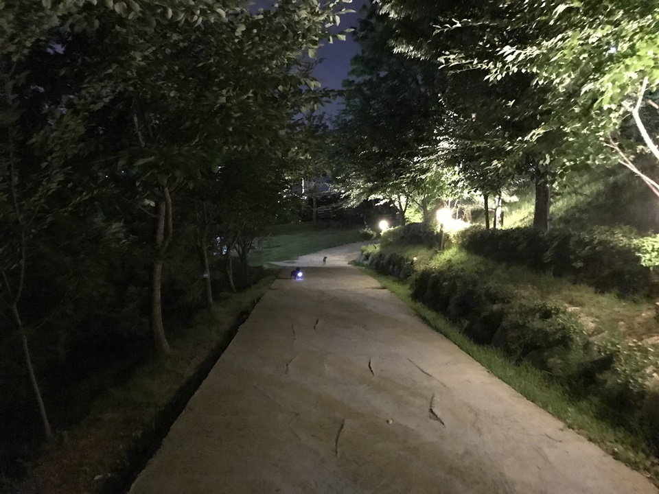 남양주 팔당 애견동반카페 카페스토리