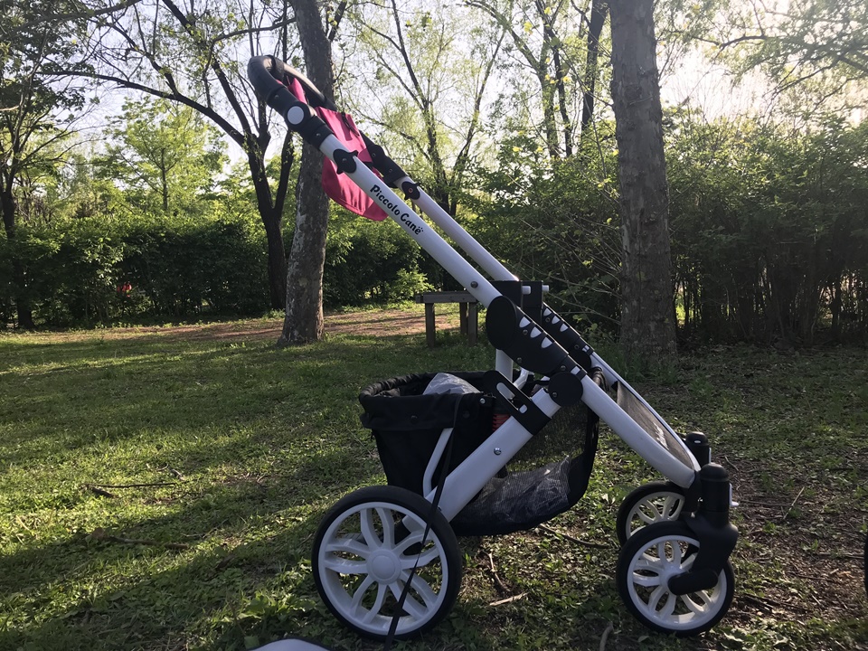 애견유모차, 강아지 유모차 활용하기