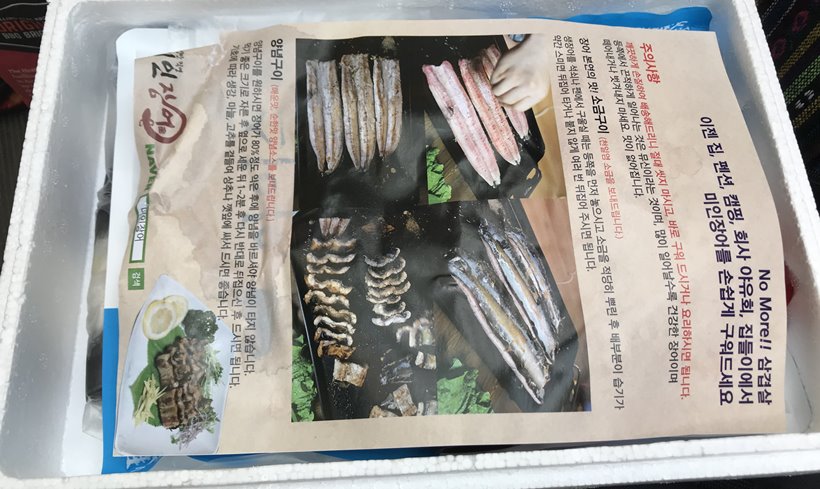 폭염 속 햇살가득캠핑장, 애견동반캠핑