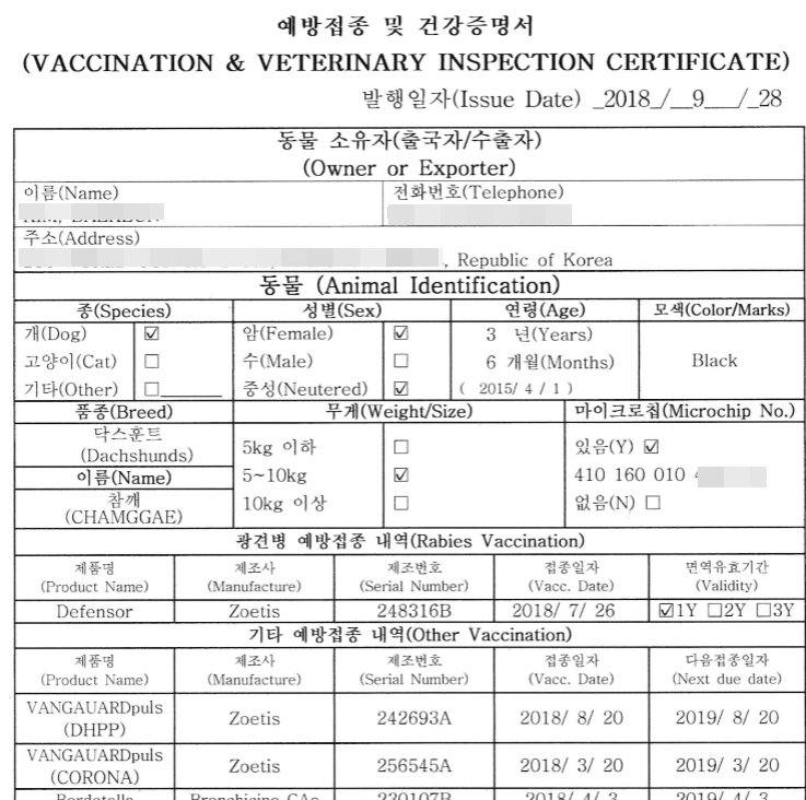 강아지 건강증명서