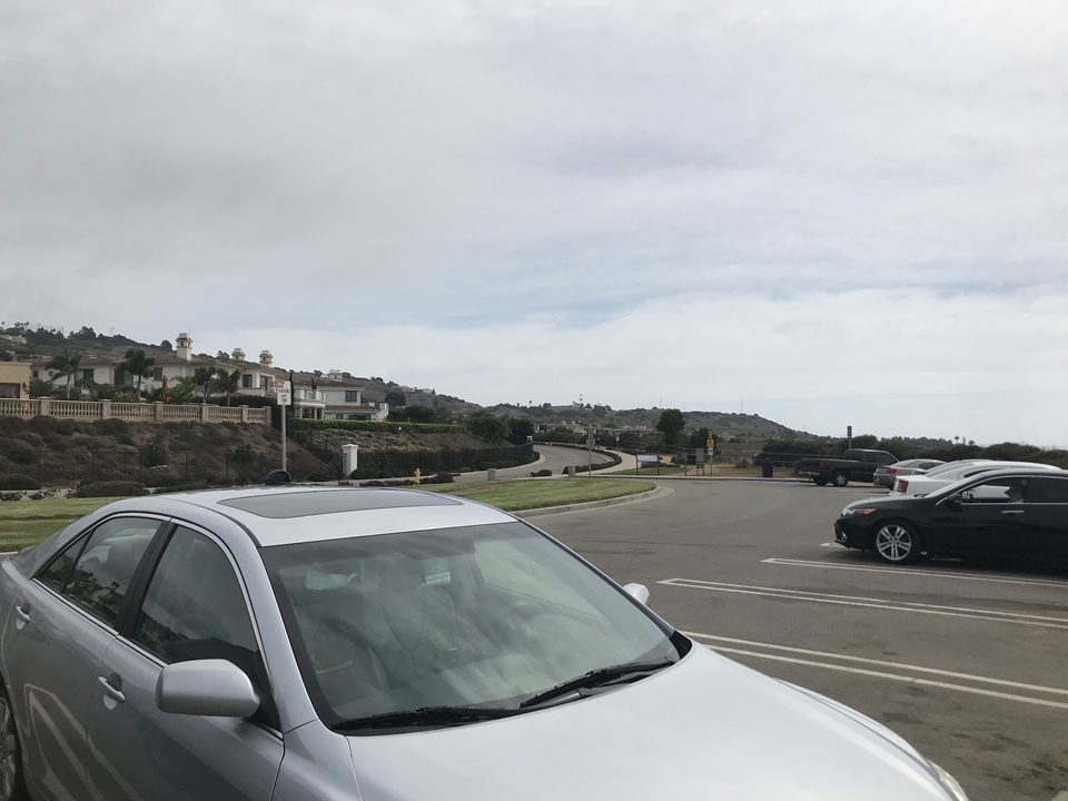 란초 팔로스 베르데스 비센테 블러프스 보호지역(Rancho Palog Verdes vicente bluffs reserve)