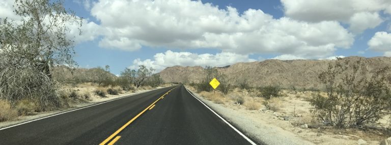 [애견동반 미국 서부 여행] 조슈아트리 국립공원(Joshua Tree National Park) - 가는 길, 캘리포니아, CA