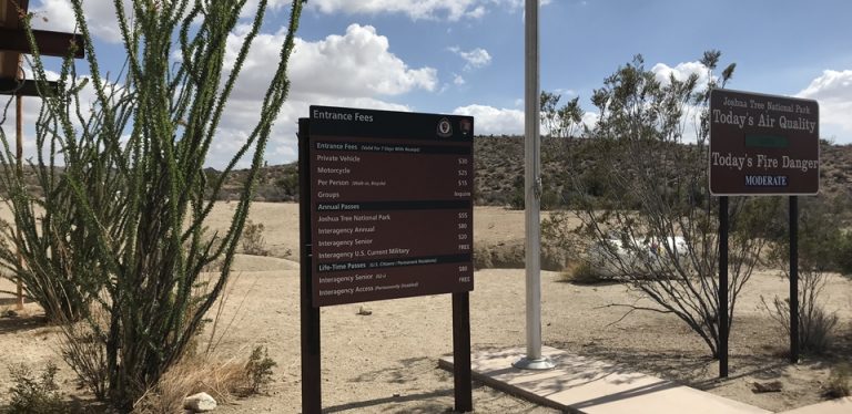 [애견동반 미국 서부 여행] 조슈아트리 국립공원(Joshua Tree National Park) - 코튼우드 비지터 센터(cottonwood visitor center), 캘리포니아, CA