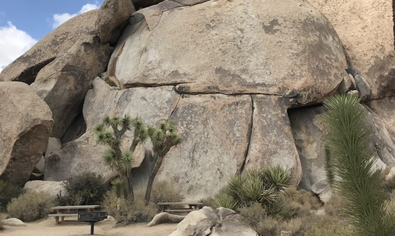 [애견동반 미국 서부 여행] 조슈아트리 국립공원(JOSHUA TREE NATIONAL PARK) – 캡락(Cap Rock), 캘리포니아, CA