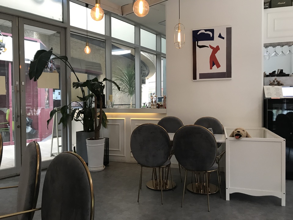 합정 애견동반 식당 - 메세나폴리스내에 위치한 르팔러(le parlour)