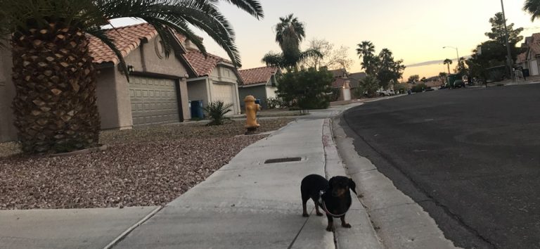 라스베이거스 에어비앤비 The Vegas Villa -4 Bedroom 3 Bath w Pool & Jacuzzi, 동네모습, 네바다주, NV