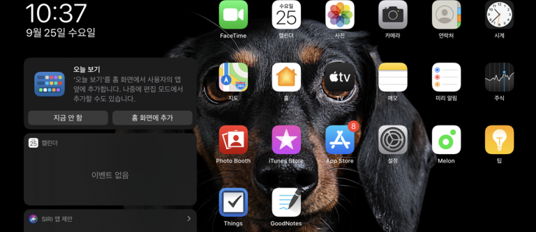 아이패드 프로 iPadOS 13.1 업데이트, 결국 아이튠즈로 해결