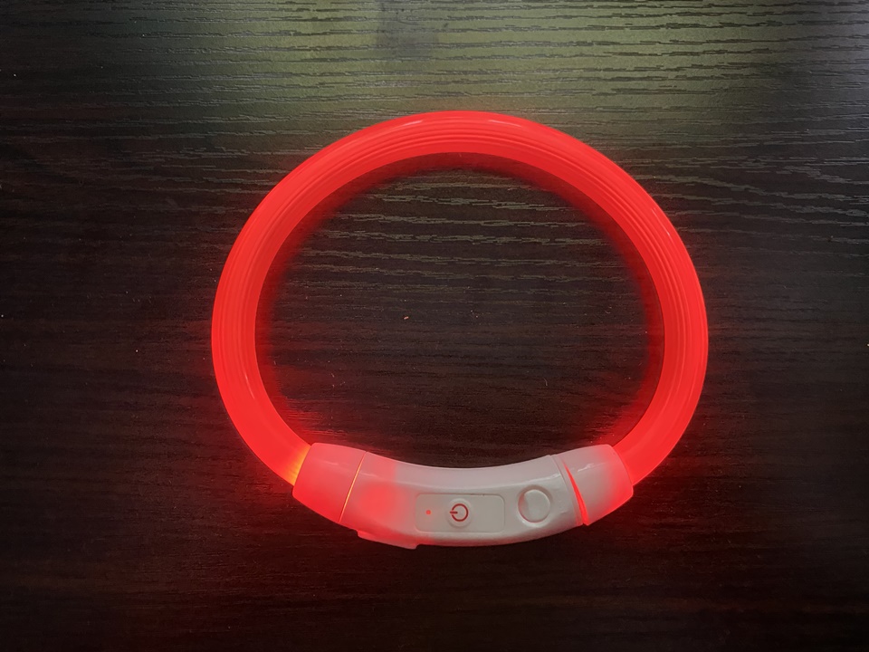 딩동펫 애견 LED 라이트 목걸이