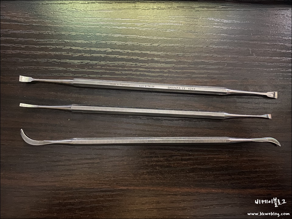 강아지치석제거, 스케일러