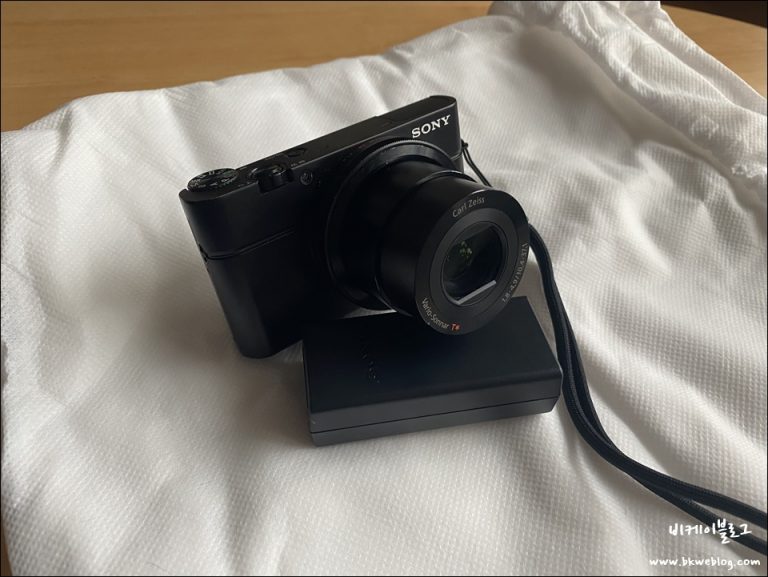 소니 RX100 mk1 떠나보내다