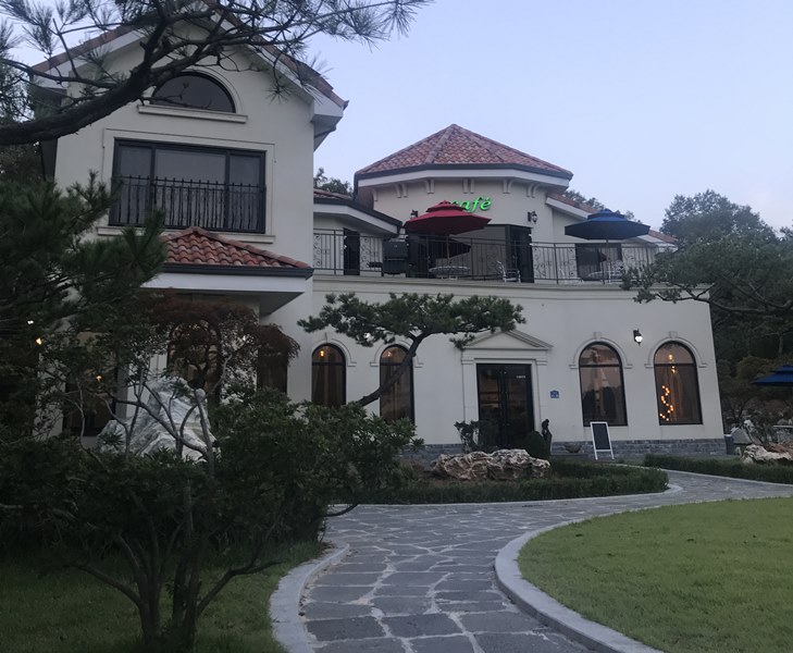 대부도 애견동반까페 라라랜드