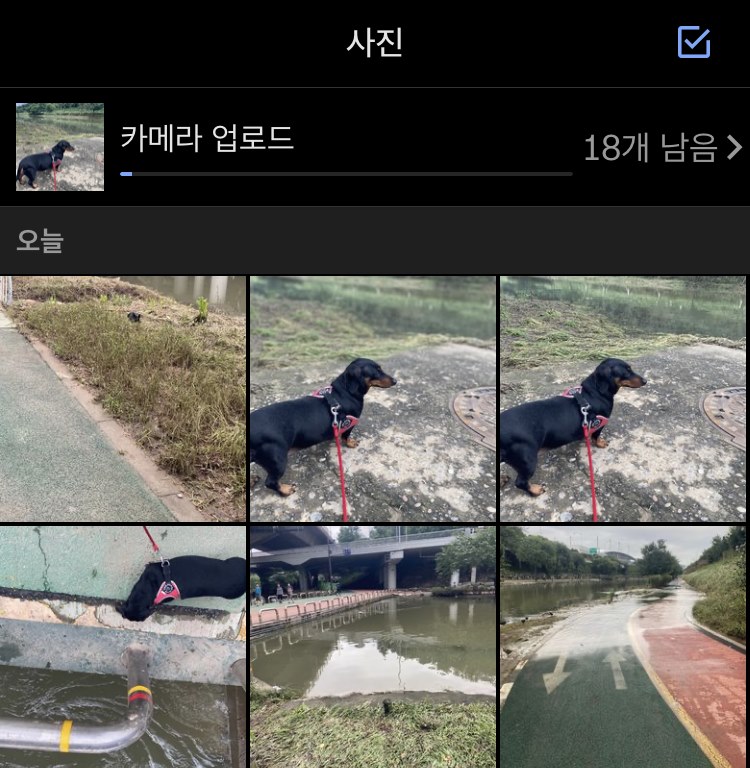 드롭박스 카메라 업로드 멈춤 오류